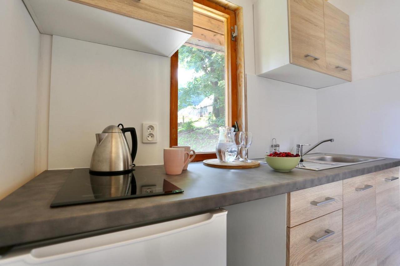 Apartment Lesna *