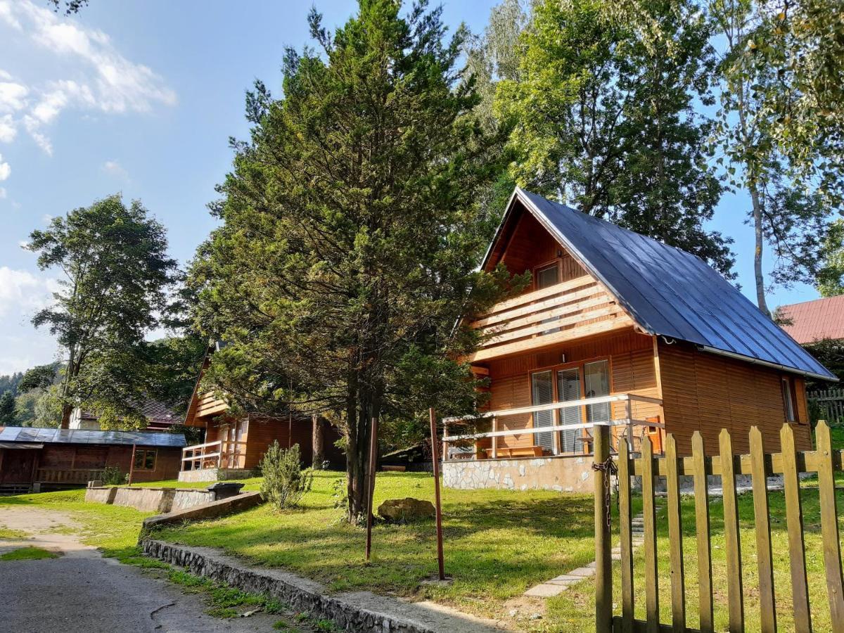 Apartment Lesna *