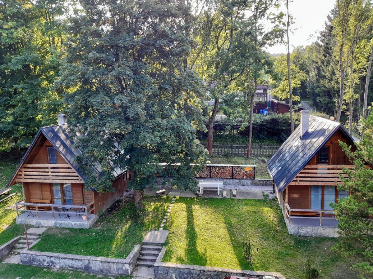 Apartment Lesna
